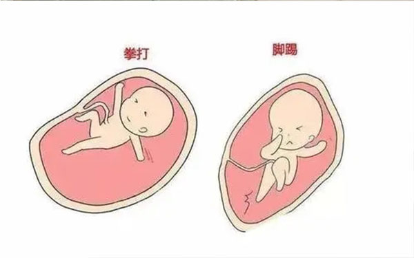 胎动位置在肚子左边是男孩