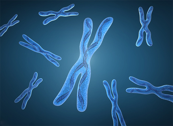 染色体异常是否可以做试管