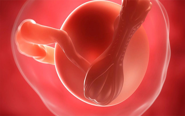 鲜胚移植8天用早孕试纸测试不出来