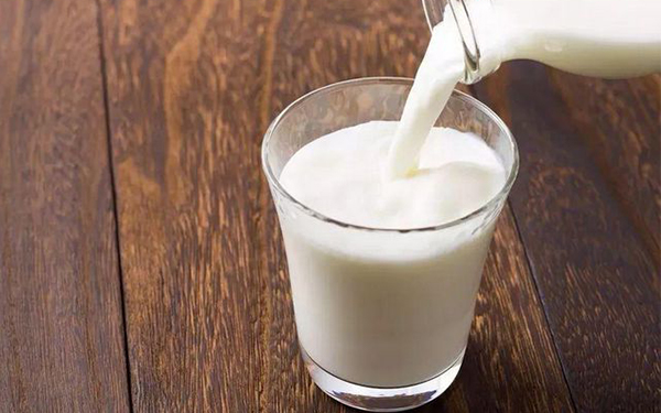 牛奶含有蛋白质能起到生精作用