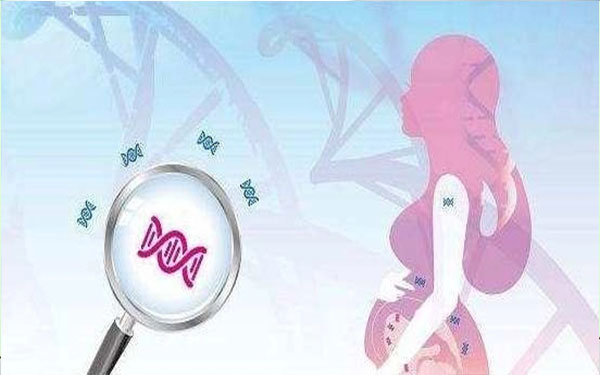 dna血液验男女属于基因层面的鉴定