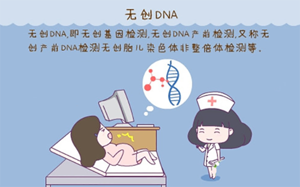 无创DNA确实是可以看出胎儿的性别
