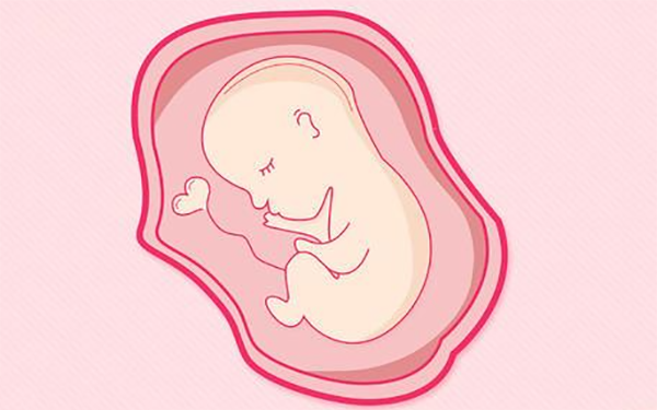 试管婴儿移植第五天3ab囊胚怎么样？