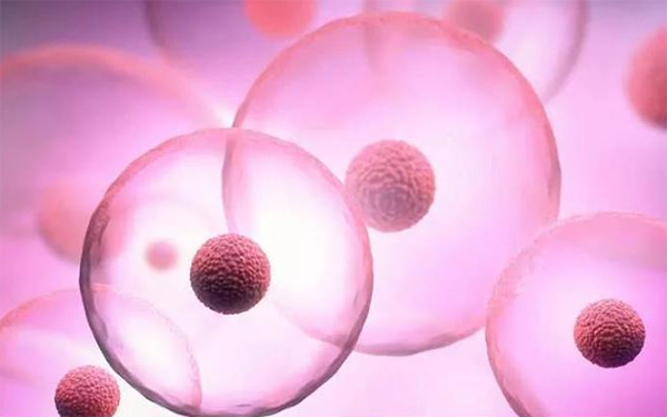 自然周期移植囊胚成功率在60%