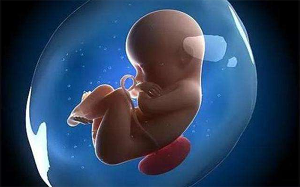 怀孕6个月频繁胎动并不能说明是男孩