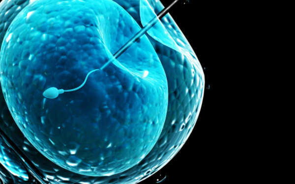 男性备孕精子攒3天