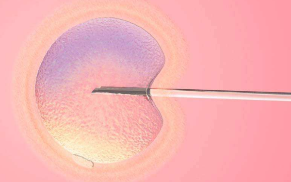 一个囊胚变双胎