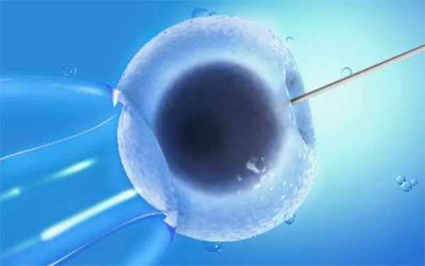 5BA囊胚属于优质囊胚不属于一级囊胚