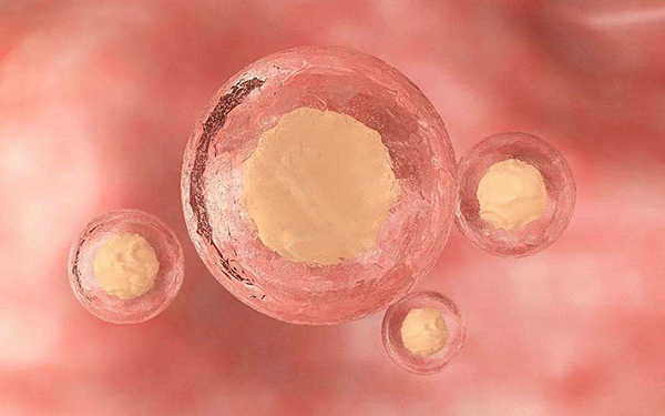 做三代试管移植两个一级胚胎的成功率约有70%