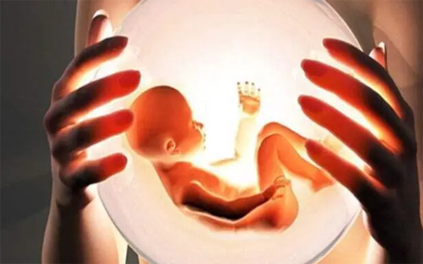 单卵双胎与男性的精子和女性的卵子都有关系