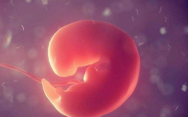胎芽出现的早晚不能判断孩子的性别