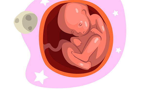 怀孕4个月女翻男胎的征兆有胎动早