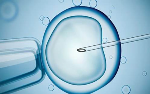 卵泡浆内单精子注射不一定会生男孩
