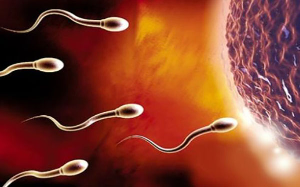 二代试管是通过离心方式筛选精子的