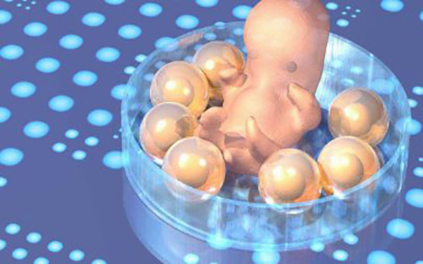 试管婴儿的性别是不能通过囊胚看性别的