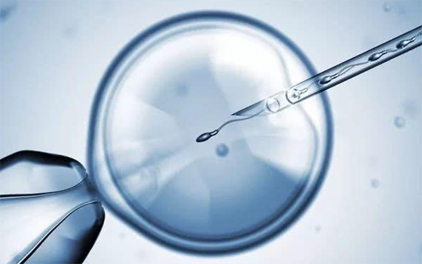 冻胚移植成功率与医生技术有关