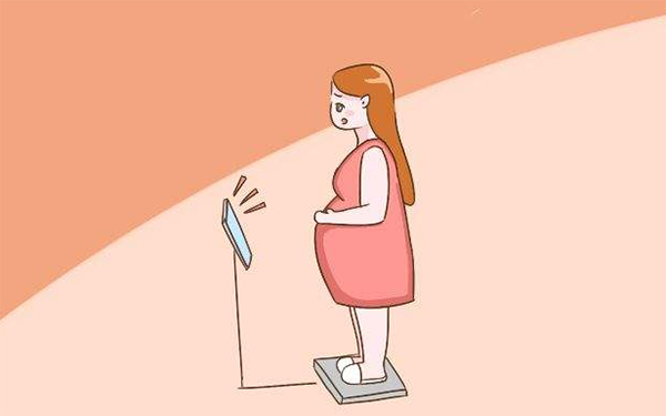 孕中期和孕后期都会出现体重猛长的现象