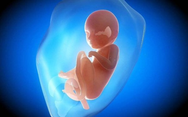 怀孕8周胚胎停育会自动排出