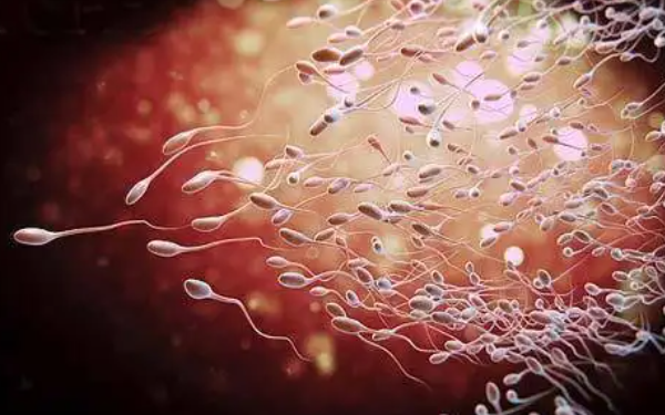 精子总数在1500万以上属于是正常