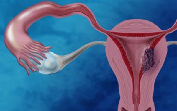 子宫内膜只有5mm移植冻胚是比较难成功的