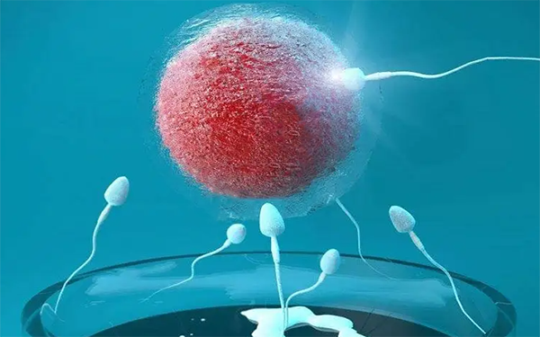 5细胞的三级胚胎属于非优质胚胎可以移植