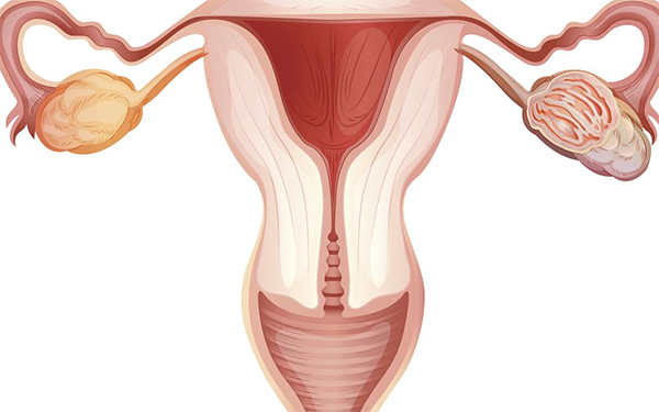 子宫内膜射频消融手术时间在月经干净后的3天左右
