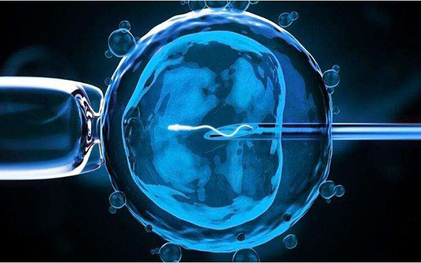 三级胚胎可能是精子质量差