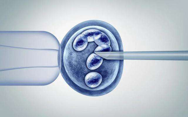 三级胚胎6细胞最好