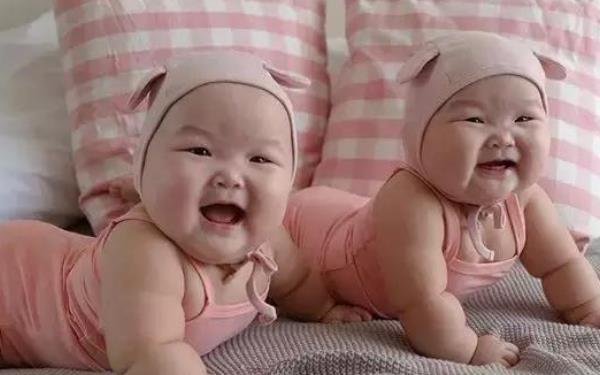 移植两个鲜胚双胞胎的几率有20-30%