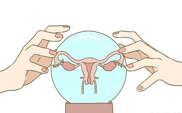 内膜呈现三线征可能在24小时内排卵