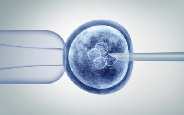 移植囊胚早期出血可能是胚胎着床了