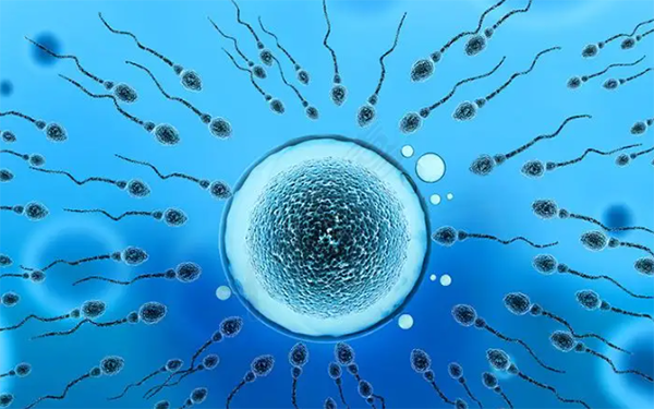9细胞肯定比7细胞好但都是优质胚胎