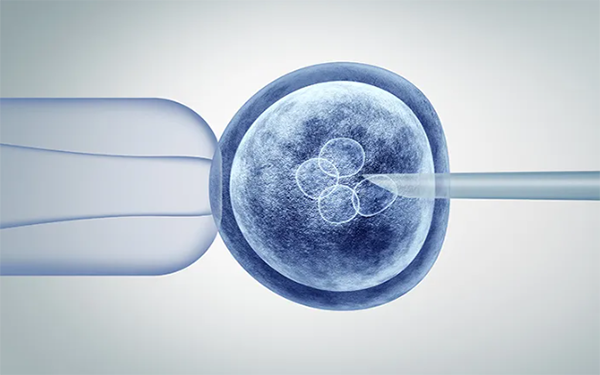 卵子透明带异常会影响生孩子的