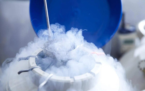 胚胎冷冻和胚胎冷冻保存费用区别在于项目