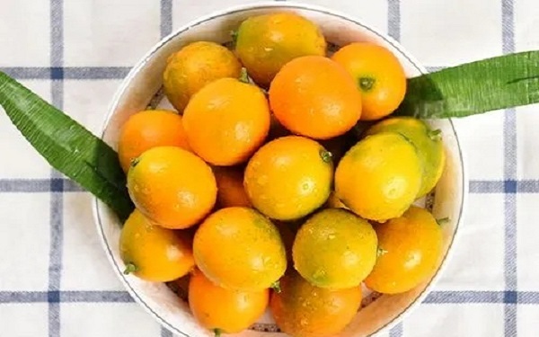 金橘是含黄酮量最高的食物之一