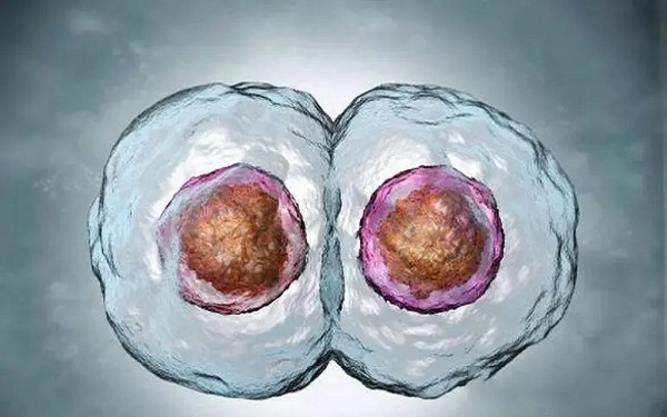 4bb囊胚移植第9天测出白板是没希望了？