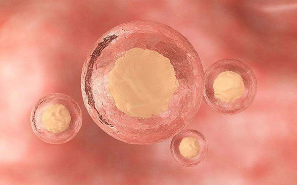 18个卵泡能配出几个一级胚胎是不一定的
