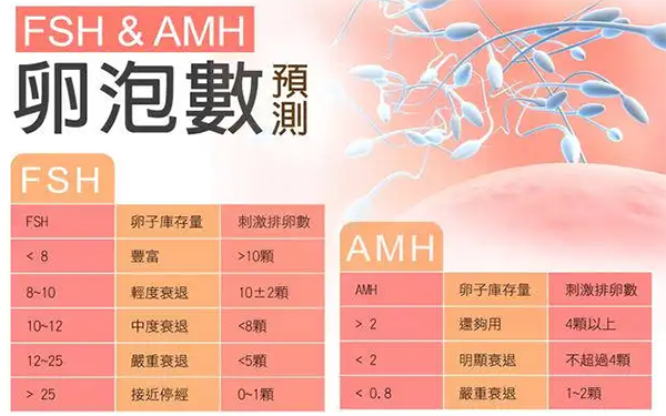 AMH更能反映卵巢储备功能