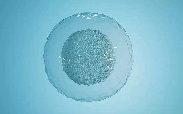 卵子质量可能会影响胎儿的健康