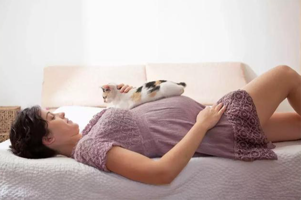 怀孕期间养猫很常见