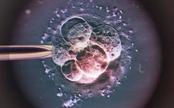 胚胎10C4移植成功率极低
