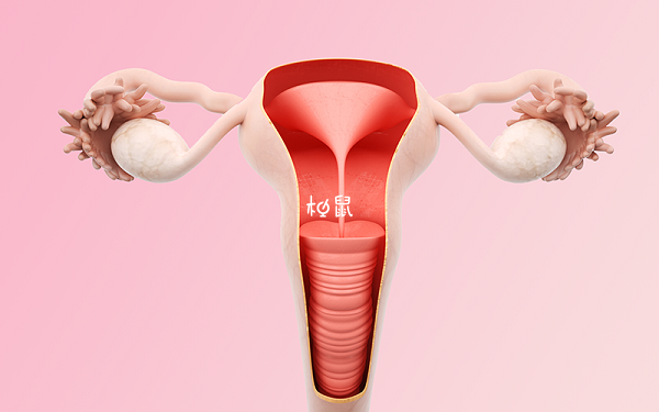 女性子宫内膜薄打雌激素针管用