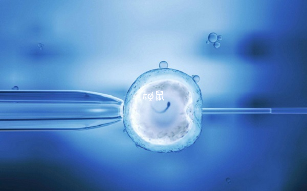 6c4胚胎不能进行试管移植