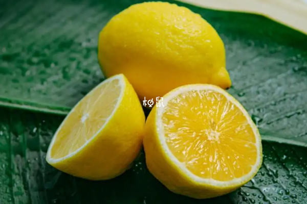 体内脂肪多可以吃柠檬