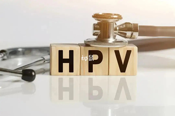 国产二价的性价比是HPV疫苗中最高的