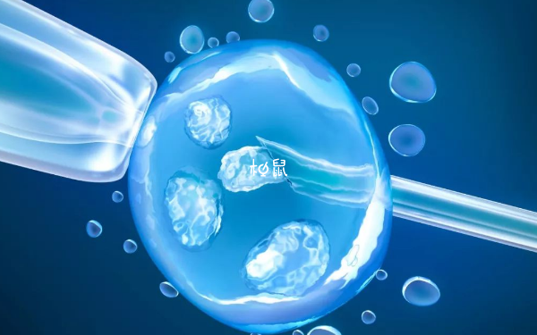 胚胎不着床可能与年龄有关
