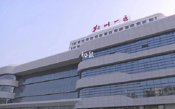 荆州市第一人民医院试管成功率