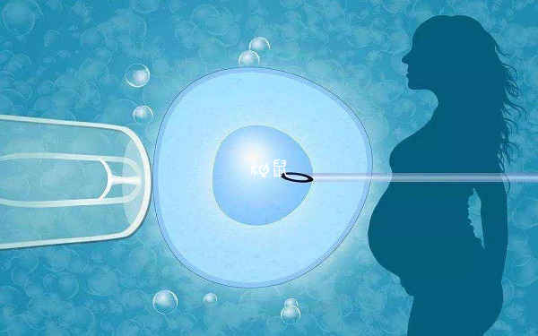 三级七细胞胚胎成功率因人而异