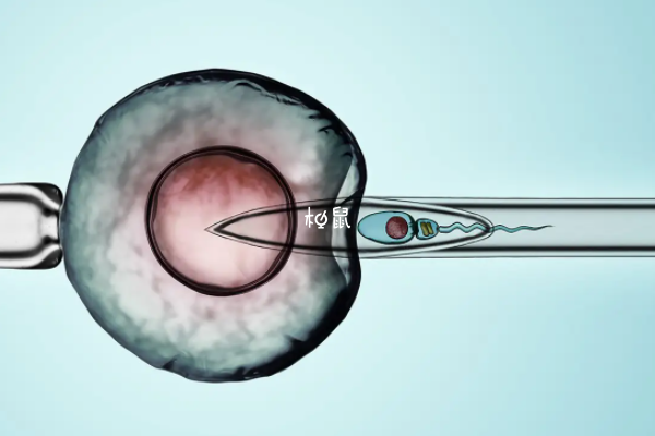 胚胎移植胶有一定的效果