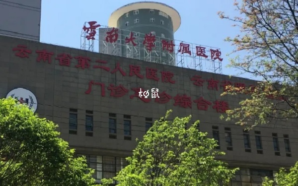 云南大学附属医院哪个医生做试管婴儿的成功率有100％？